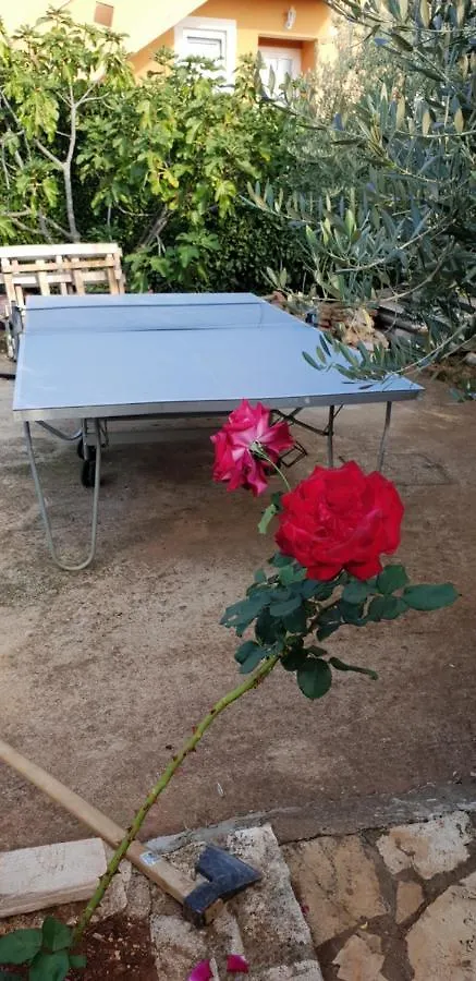 Apartamento Apartmani Citrus Novigrad Filipac Croácia